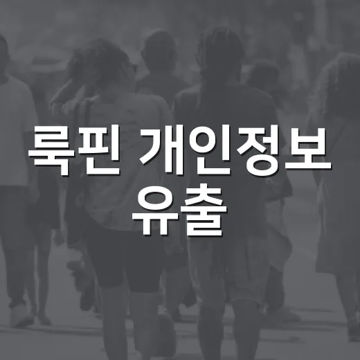 룩핀 개인정보 유출, 내 계정은 무엇을 확인해야 할까요? - 요약
