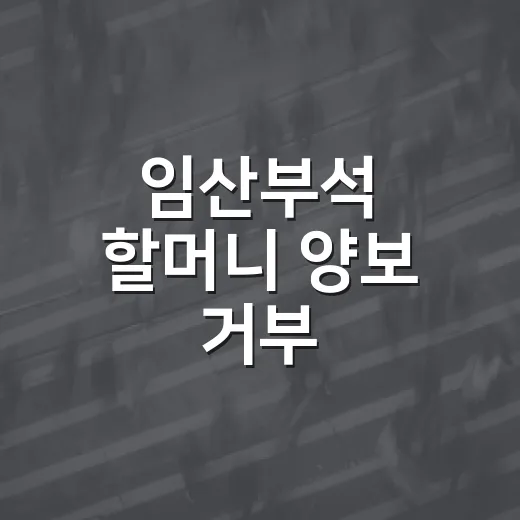 임산부석 할머니 양보 거부, 왜 이렇게 논란이 커졌을까요? - 요약