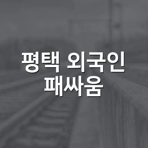 평택 외국인 패싸움, 왜 ‘외국인 문제’로만 보면 놓치는 게 많을까요? - 요약