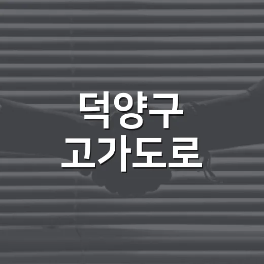 덕양구 고가도로, 왜 자꾸 지역 이슈가 될까요? - 요약