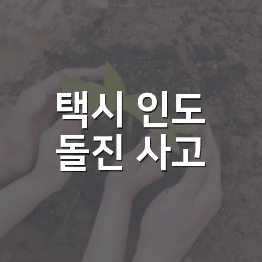 택시 인도 돌진 사고, 왜 반복되는 걸까요? - 요약