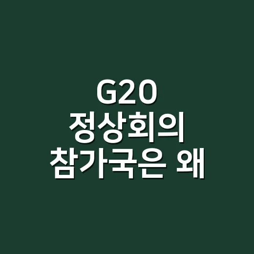 G20 정상회의 참가국은 왜 20개국이 아닐까요? - 요약