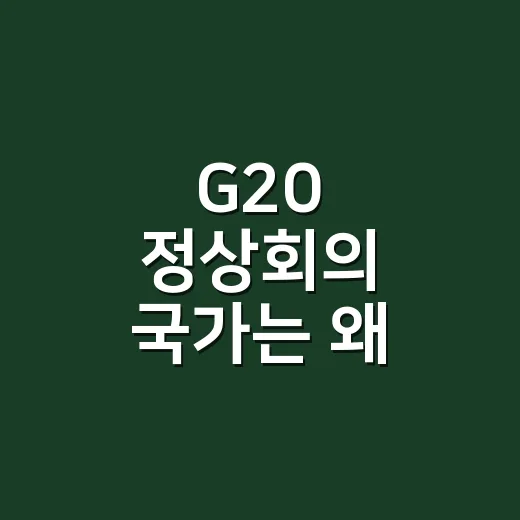 G20 정상회의 국가는 왜 20개가 아닐까요? - 요약