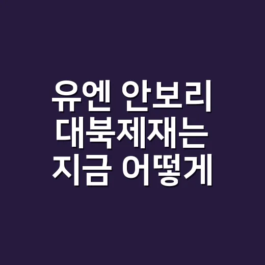 유엔 안보리 대북제재는 지금 어떻게 작동할까요? - 요약