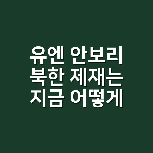 유엔 안보리 북한 제재는 지금 어떻게 작동할까요? - 요약