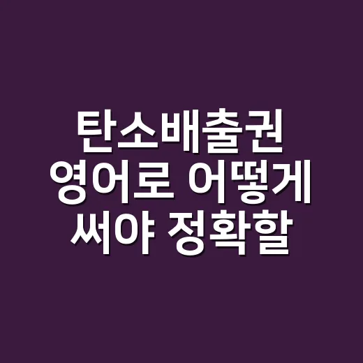 탄소배출권 영어로 어떻게 써야 정확할까요? - 요약