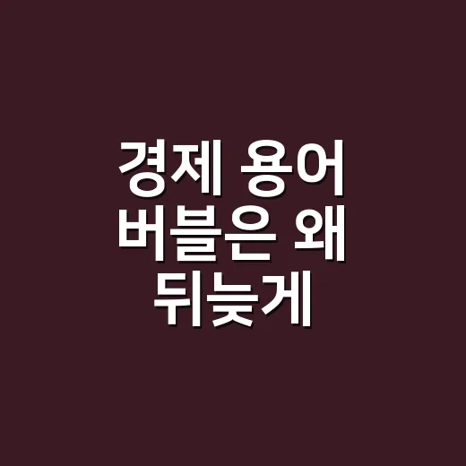 경제 용어 버블은 왜 뒤늦게 보일까요? - 요약