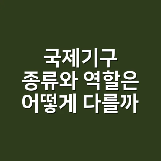 국제기구 종류와 역할은 어떻게 다를까요? - 요약