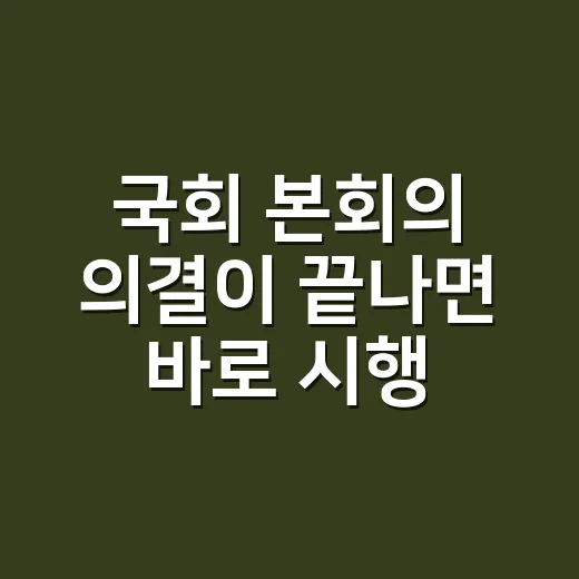 국회 본회의 의결이 끝나면 바로 시행될까요? - 요약