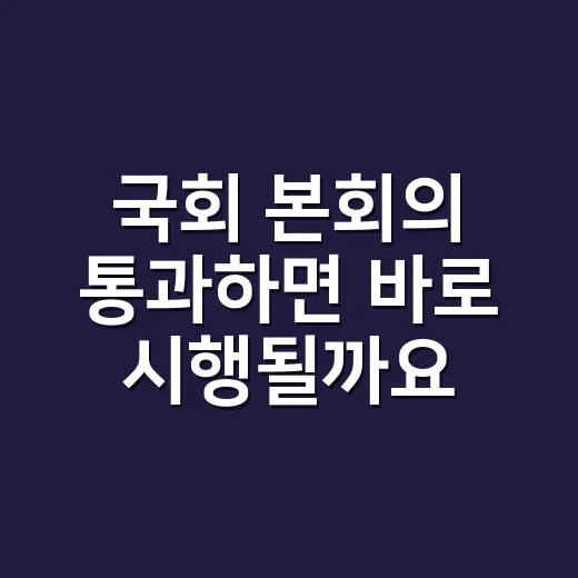 국회 본회의 통과하면 바로 시행될까요? - 요약