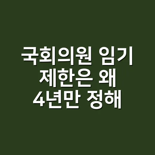 국회의원 임기 제한은 왜 4년만 정해져 있을까요? - 요약