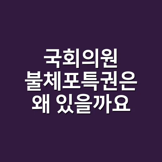 국회의원 불체포특권은 왜 있을까요? - 요약