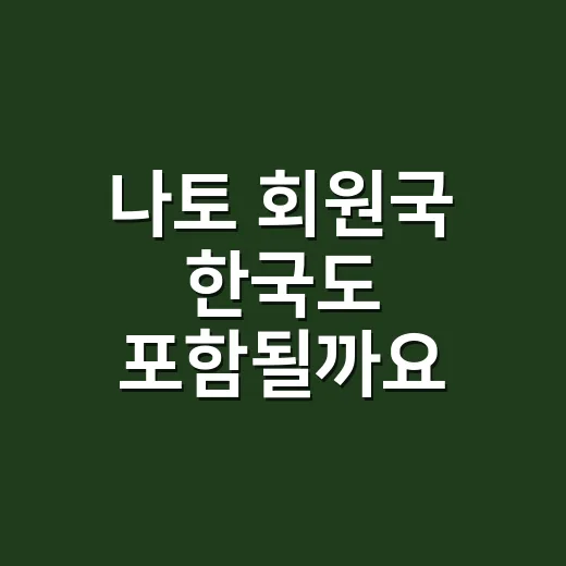 나토 회원국 한국도 포함될까요? - 요약