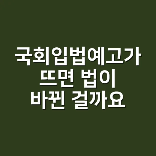 국회입법예고가 뜨면 법이 바뀐 걸까요? - 요약