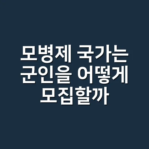 모병제 국가는 군인을 어떻게 모집할까요? - 요약