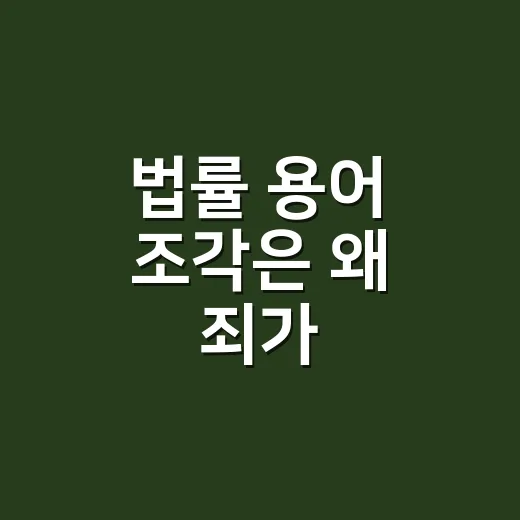 법률 용어 조각은 왜 죄가 사라진다는 뜻일까요? - 요약