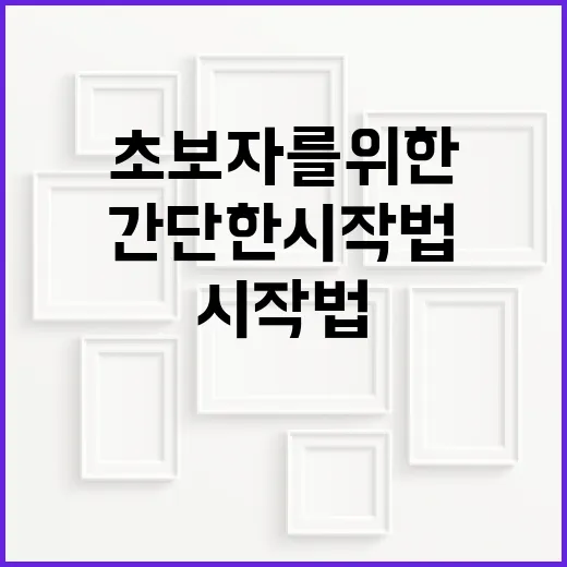 종이접기: 초보자를 위한 간단한 시작법 - 요약