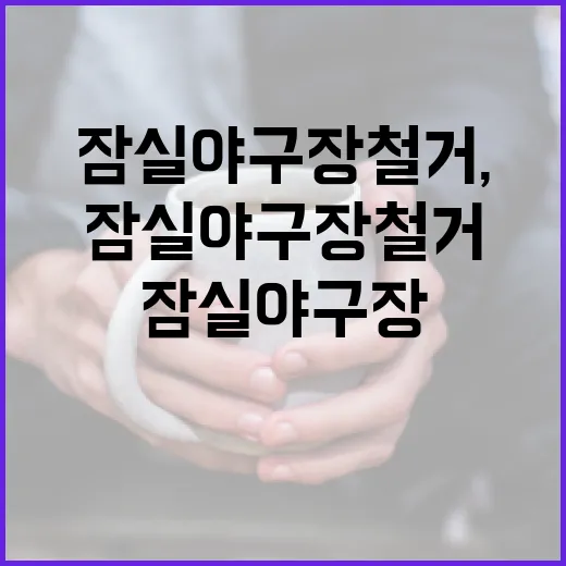 잠실야구장 철거, 그 이후의 이야기 - 요약