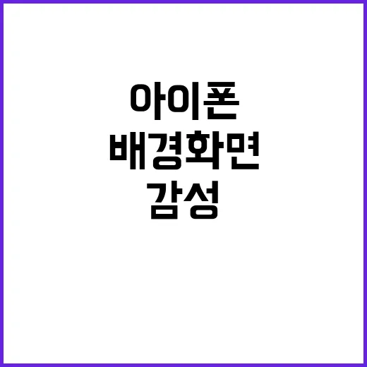 아이폰 감성 배경화면 예쁘게 고르고 적용하는 방법 - 요약