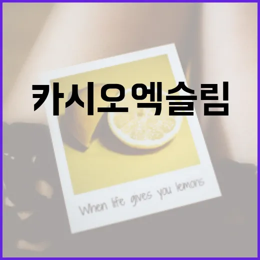 카시오 엑슬림 H15 제대로 쓰는 방법, 오래된 디카를 다시 꺼냈다면 이렇게 - 요약
