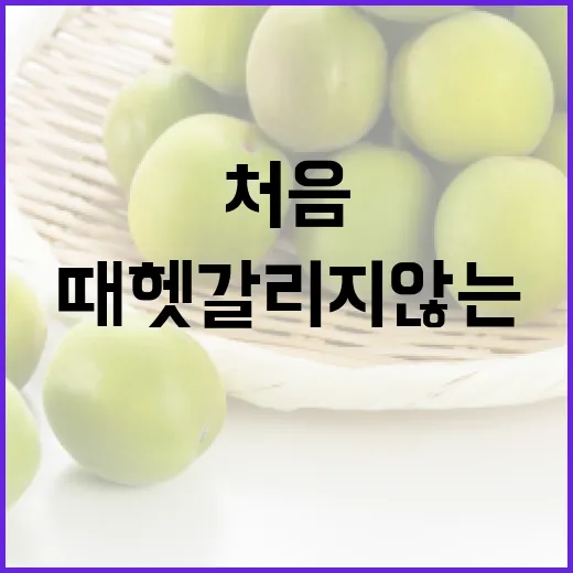 이스트라핫 처음 검색할 때 헷갈리지 않는 방법 - 요약