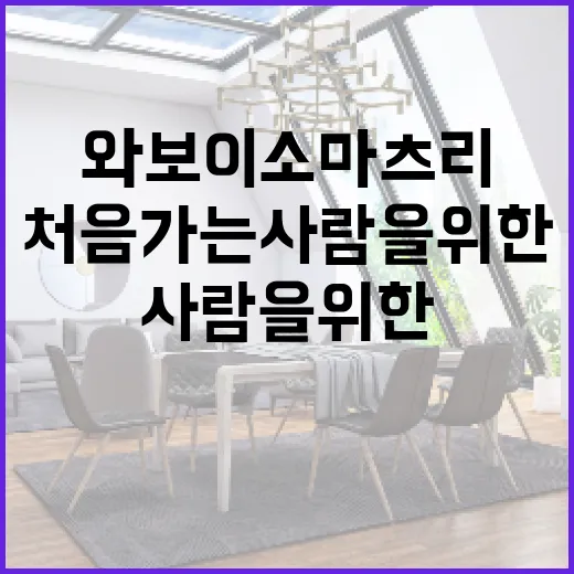 와보이소 마츠리 처음 가는 사람을 위한 즐기는 방법 - 요약