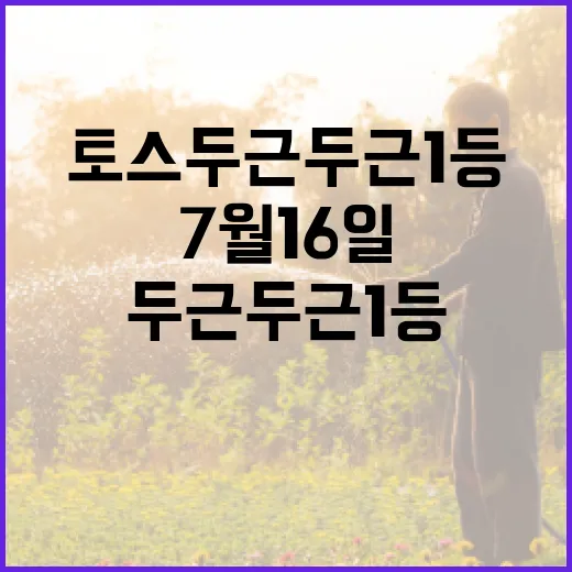 토스 두근두근 1등 7월16일 확인하는 방법과 참여 팁 - 요약