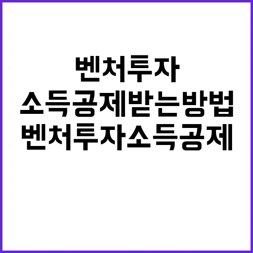 벤처투자소득공제 받는 방법, 투자 전에 꼭 확인할 것들 - 요약