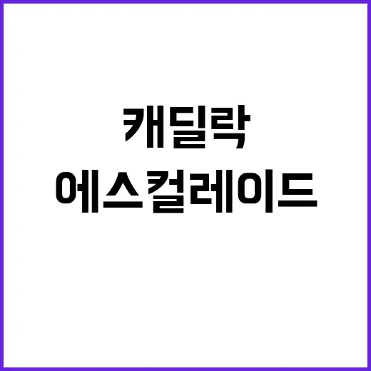 캐딜락 고르는 방법: 에스컬레이드부터 XT5까지 내 생활에 맞추려면 이렇게 - 요약