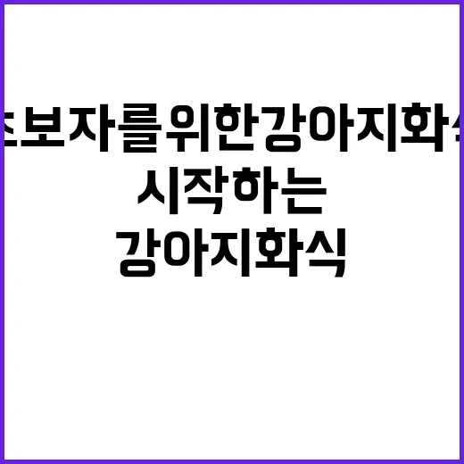 초보자를 위한 강아지화식 시작하는 방법 - 요약