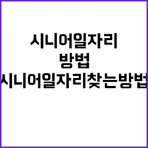 초보자를 위한 시니어일자리 찾는 방법, 어디서부터 시작하면 좋을까 - 요약