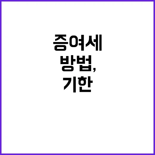 증여세계산기 제대로 쓰는 방법, 공제부터 신고기한까지 헷갈리지 않게 - 요약