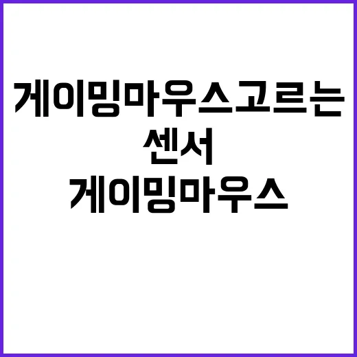 초보자를 위한 게이밍마우스 고르는 방법, 손 크기부터 센서까지 이렇게 보면 쉬워요 - 요약