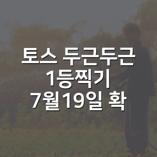 토스 두근두근 1등찍기 7월19일 확인하는 방법과 놓치기 쉬운 포인트 - 요약