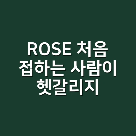 ROSE 처음 접하는 사람이 헷갈리지 않게 이해하는 방법 - 요약