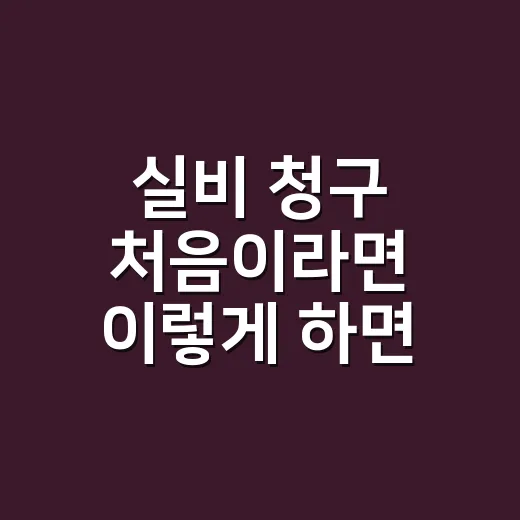 실비 청구 처음이라면 이렇게 하면 덜 헤매요 - 요약