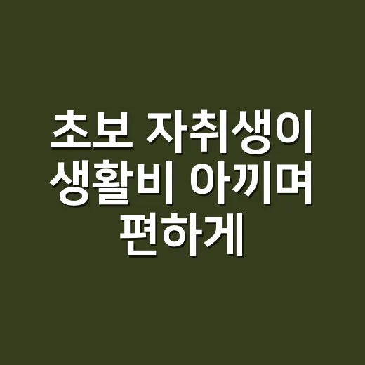 초보 자취생이 생활비 아끼며 편하게 사는 방법 - 요약