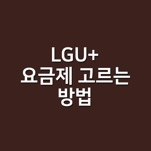 LGU+ 요금제 고르는 방법, 데이터부터 로밍까지 이렇게 보면 쉬워요 - 요약