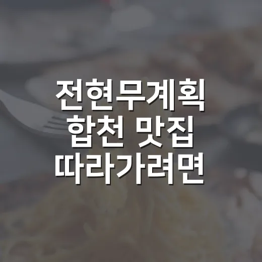 전현무계획 합천 맛집 따라가려면 이렇게 잡으면 편해요 - 요약