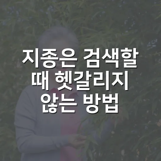 지종은 검색할 때 헷갈리지 않는 방법 - 요약