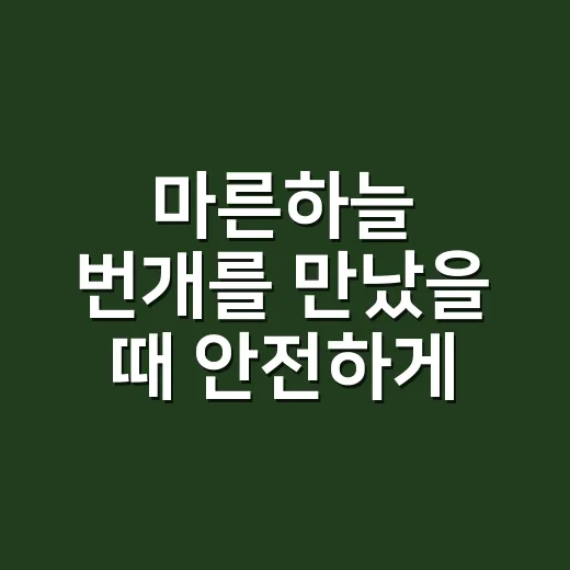 마른하늘 번개를 만났을 때 안전하게 대처하는 방법 - 요약