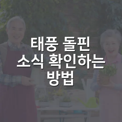 태풍 돌핀 소식 확인하는 방법, 경로보다 먼저 봐야 할 것들 - 요약