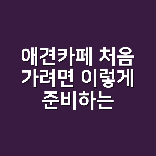 애견카페 처음 가려면 이렇게 준비하는 방법 - 요약