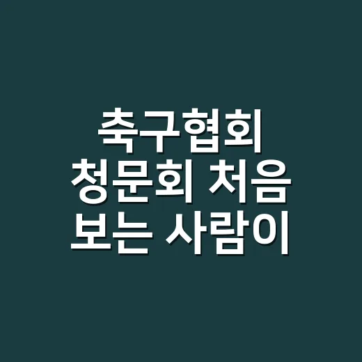축구협회 청문회 처음 보는 사람이 흐름 잡는 방법 - 요약