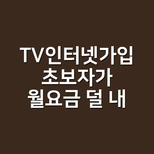 TV인터넷가입 초보자가 월요금 덜 내는 방법 - 요약