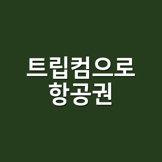 트립컴으로 항공권·호텔 예약 싸게 하는 방법 - 요약