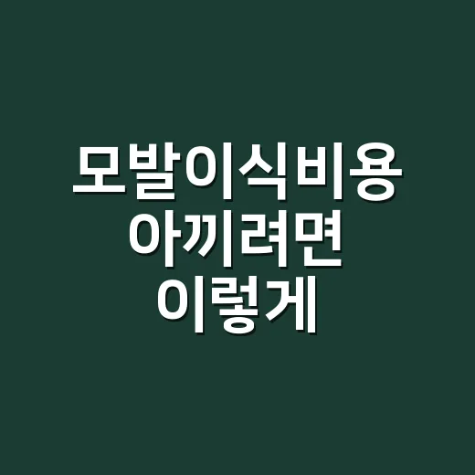 모발이식비용 아끼려면 이렇게 비교하세요 - 요약