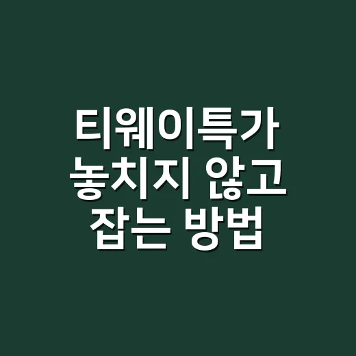 티웨이특가 놓치지 않고 잡는 방법, 초보자도 바로 쓰는 예약 팁 - 요약