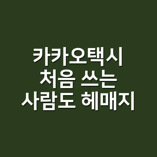 카카오택시 처음 쓰는 사람도 헤매지 않고 부르는 방법 - 요약
