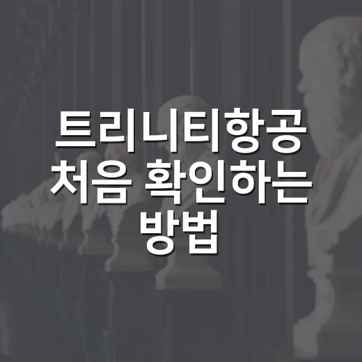 트리니티항공 처음 확인하는 방법, 항공권·기업정보 볼 때 헷갈리지 않게 - 요약